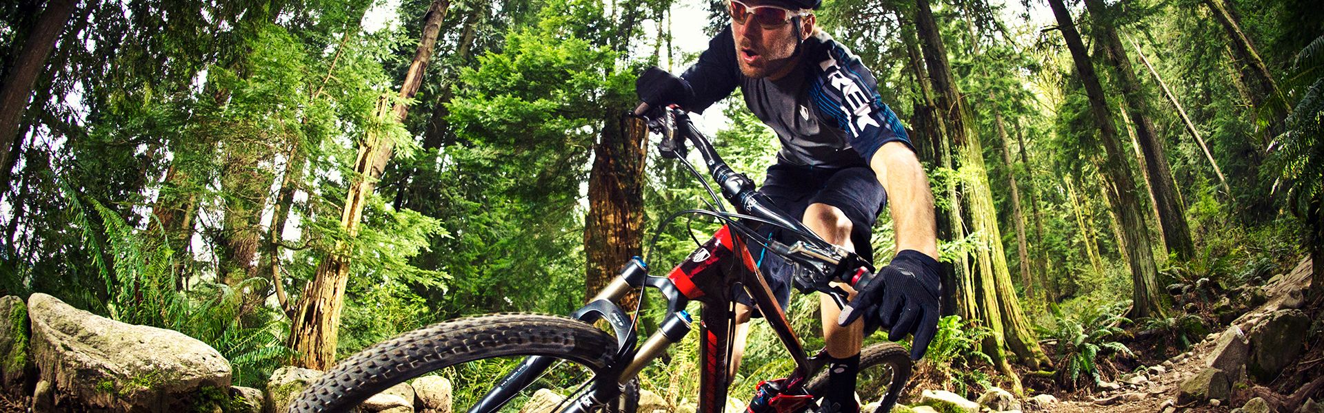 Mountain bike lawyer